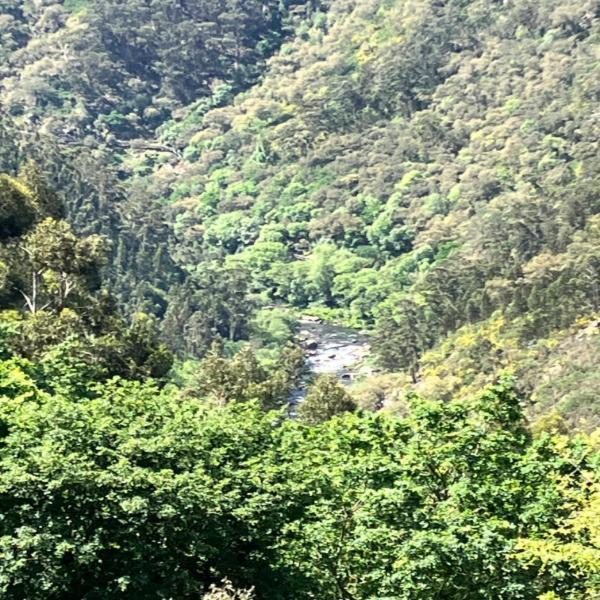 Paiva Valley Alvarenga Luaran gambar