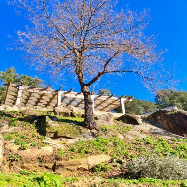 Paiva Valley Alvarenga Luaran gambar